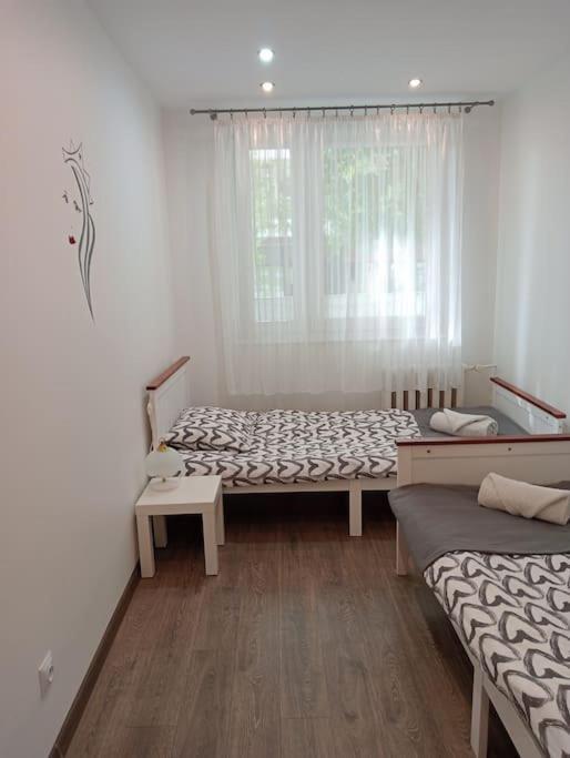 Apartament Queen マルボルク エクステリア 写真